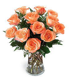 Sweet Citrus Bouquet -A local Pittsburgh florist for flowers in Pittsburgh. PA
